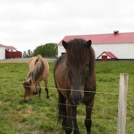 Byggðarhorn Lejlighed Selfoss Eksteriør billede
